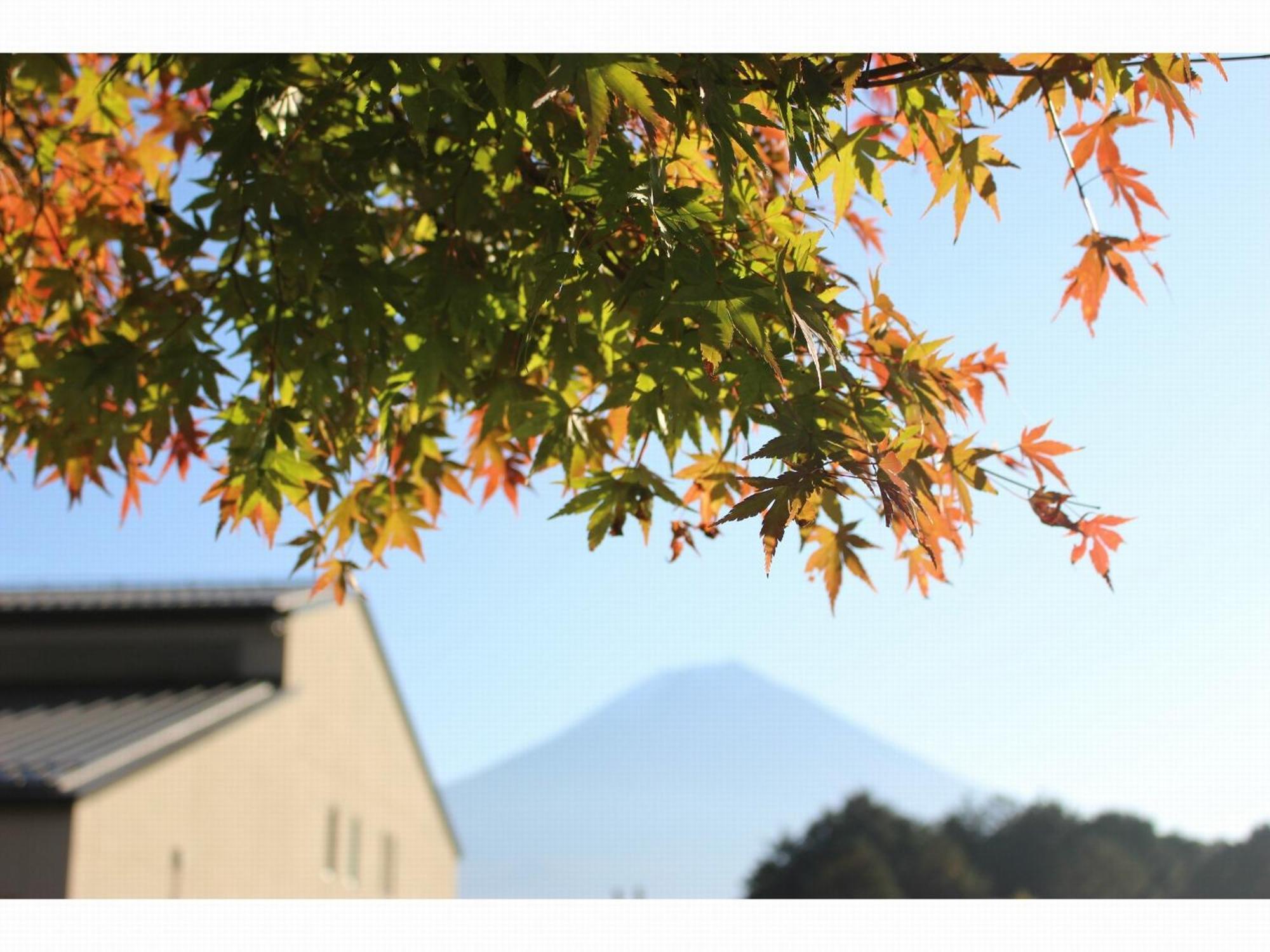 Kyukamura Fuji Hotel Fujinomiya Exterior photo